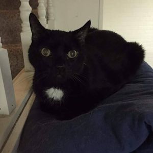 Meet your Posher, Lucy